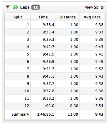 11 Mile Training Run